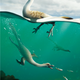 An illustration of the recently discovered species, which looks like a water bird with a long tail.